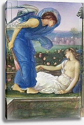 Постер Берне-Джонс Эдвард Cupid and Psyche, c.1865