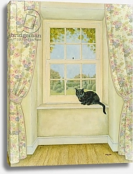 Постер Дитц (совр) The Window Cat