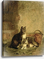 Постер Адам Юлиус Cats, 1883