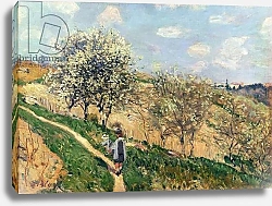Постер Сислей Альфред (Alfred Sisley) Springtime at Bougival