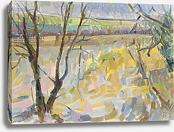 Постер Таунсенд Эрин (совр) The Flooded Cherwell from Rousham II