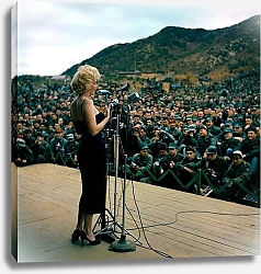 Постер Monroe, Marilyn 116