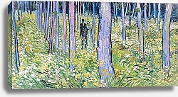 Постер Ван Гог Винсент (Vincent Van Gogh) Полесок, 1889 г.