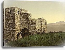 Постер Израиль. Руины дворца Ахаб