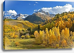 Постер Золотая осень в горах