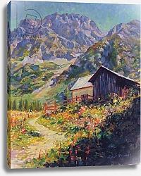 Постер Тиндалл Роберт (совр) Haute Alpes, France