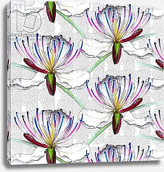 Постер Уотсон Эндрю (совр) Caper flowers, 2017, watercolour and ink