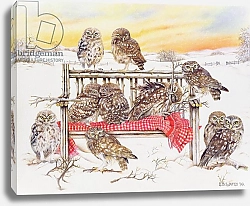 Постер Уоттс Э. (совр) Little Owls on Twig Bench, 1999