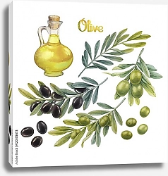 Постер Акварельная коллекция оливок