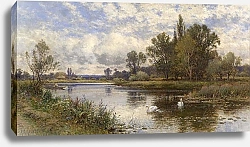 Постер Гленденинг Альфред Вид на реку с лебедями