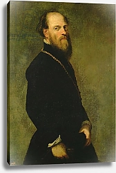 Постер Тинторетто Джакопо The Man with the Gold Chain, c.1550