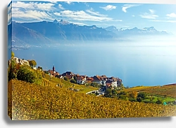 Постер Швейцария. Осенние виноградники долины Лаво