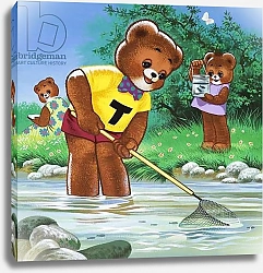 Постер Филлипс Уильям (дет) Teddy Bear 3