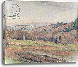 Постер Писсарро Люсьен Old Mark's Field, Coldharbour, Surrey, 1915