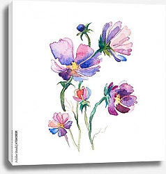 Постер Весенние лиловые цветы на белом фоне