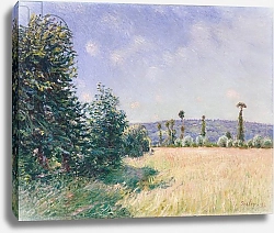 Постер Сислей Альфред (Alfred Sisley) Sahurs Meadows in Morning Sun, 1894