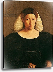 Постер Досси Доссо Portrait of a Woman with a White Hairnet