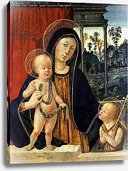 Постер Школа: Итальянская 16в. Madonna and Child with a young John the Baptist, c.1500