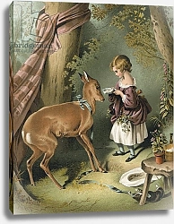 Постер Лэндсир Эдвин Girl feeding deer