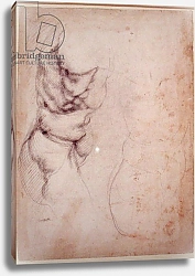 Постер Микеланджело (Michelangelo Buonarroti) Study of torso and buttock