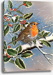 Постер British Birds - Robinredbreast