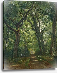 Постер Дьютилюкс Анри Path in the Forest, 1864