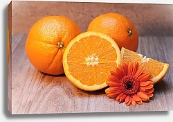 Постер Апельсины и оранжевая маргаритка