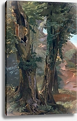Постер Нерли Фридрих Old Elms, c.1835