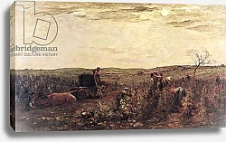 Постер Добиньи Шарль The Wine Harvest in Burgundy, 1863