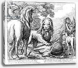Постер Барлоу Франсис The Lion's Share, illustration to 'Aesop's Fables', 1687