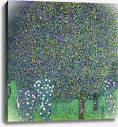 Постер Климт Густав (Gustav Klimt) Roses under the Trees, c.1905