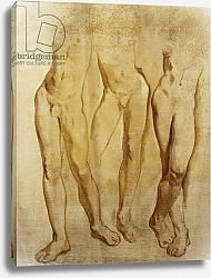 Постер Филпот Глин Three Studies of a Standing Male Nude,
