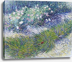 Постер Ван Гог Винсент (Vincent Van Gogh) Трава и бабочки, 1887