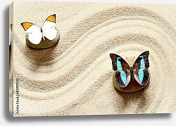 Постер Бабочки на песке