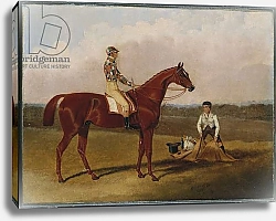 Постер Херринг Джон 'Barefoot', the Racehorse, with a Jockey Up and a Groom, 1835