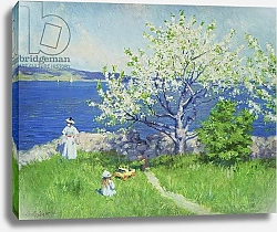 Постер Фишер Поль A fjord near Oslo, Summer 1892