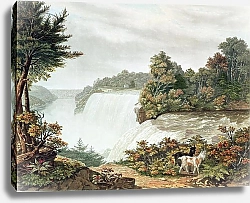 Постер Niagara Falls, from Goat Island