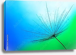 Постер Close up of dandelion on the blue background