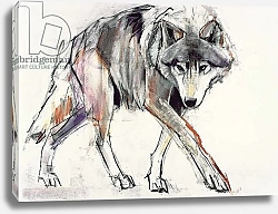Постер Адлингтон Марк (совр) Wolf