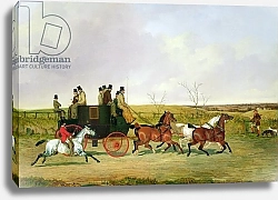 Постер Дэлби Давид Horse and Carriage