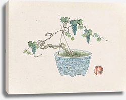 Постер Неизвестен Bonsai kabenzu, Pl.15