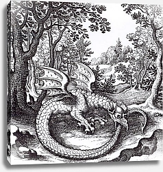 Постер Школа: Русская 17в. A Dragon in the Forest, from 'Musaeum Hermeticum Reformatum' by Basil Valentine, 1678