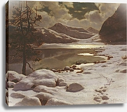 Постер Шульце Иван Moonlight in Winter