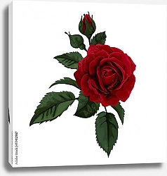 Постер Темно-красная роза с зелеными листьями