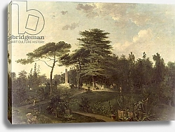 Постер Хауель Жан The Cedar of Lebanon in the Jardin des Plantes