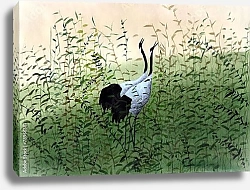 Постер Два журавля в высокой траве