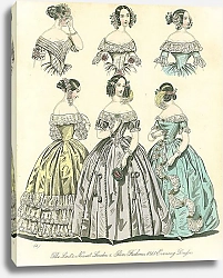 Постер Evening Dresses