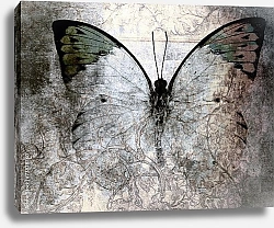 Постер Бабочка на серой гранж текстуре