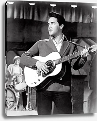 Постер Presley, Elvis (Spinout)