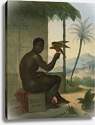 Постер Таунай Николя Brazilian negro with Tropical Bird